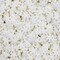 Krazy Sprinkles - Winter Snowflakes (1/2 Cup, 1x Jar) for Cakes, Ice Cream & Cookies